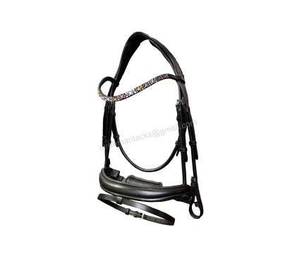 Leather Bridle 